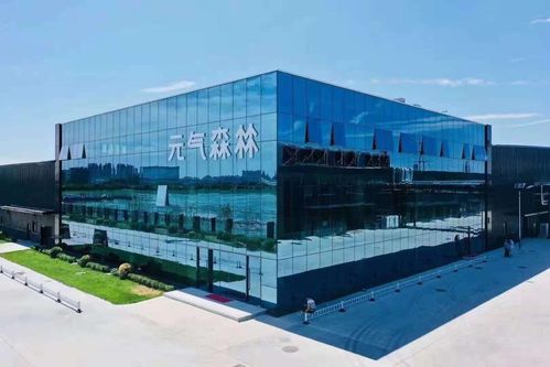 林氏木業(yè) 元?dú)馍?其實(shí)都是一類(lèi)公司