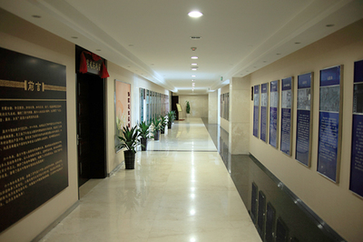 安徽政府機(jī)關(guān)文化環(huán)境設(shè)計(jì)公司的使命與實(shí)踐